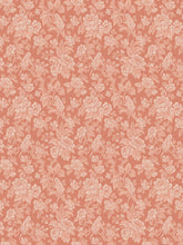 Load image into Gallery viewer, Drunken Monkey Wallpaper