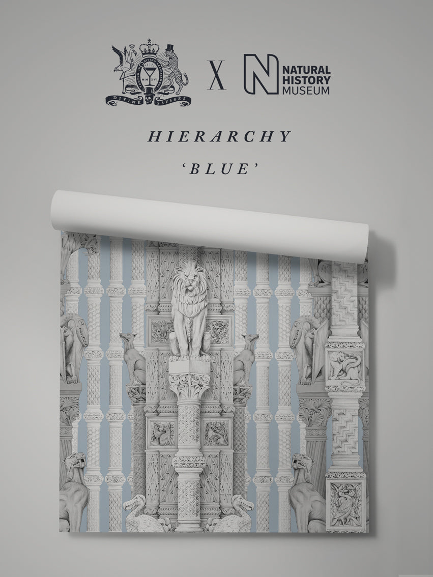 Hierarchy Wallpaper Sample